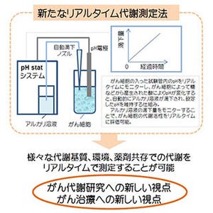 がん細胞の代謝基質の活性をリアルタイムに測定するシステム - 東北大