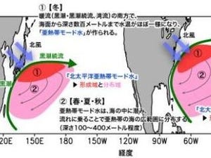 北半球の亜熱帯は世界平均の2倍の速さで温暖化が進行している - 東北大