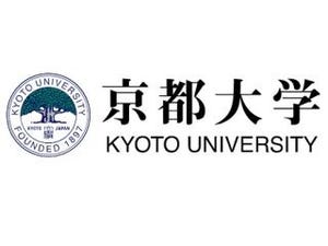 地盤強度の予測精度が向上 - 京大、データ同化手法で適切な予測が可能に