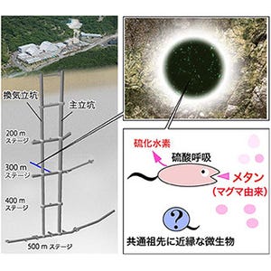 光合成由来のエネルギー源に依存しない地底生態系を解明