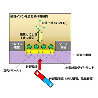 NIMS、電圧でなく磁気でイオンを輸送するトランジスタを開発