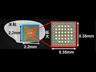 NICTなど、多数の光信号を同時に電気信号に変換できる受光素子を開発