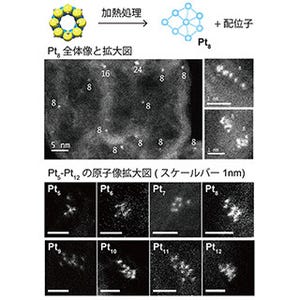 東工大、原子数5～12の白金クラスター触媒をミリグラムオーダーで合成