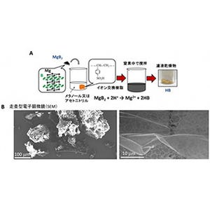 筑波大など、優れた水素吸蔵性能を持つホウ化水素シートの生成に成功