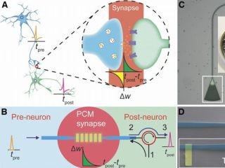 光チップ上に人工シナプスを実装、脳型コンピュータ実現めざす - エクセター大など