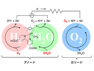 昼は水、夜は水素で走る車ができる? - 燃料電池+太陽電池の融合触媒を開発