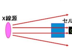 水素社会の実現に向けて - 東工大が燃料電池の反応生成液水の可視化を実現