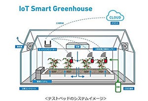 ヤンマー、AI/IoTを活用した次世代施設園芸システム構築のテストベッド開始