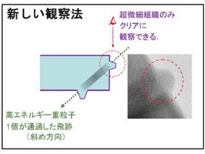 放射線に強いセラミックスは「自己修復」をしていた - JAEAと量研機構