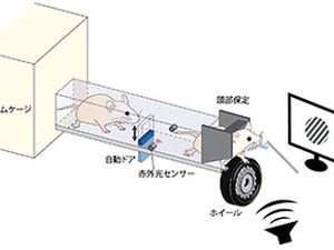 完全自動での認知課題訓練を可能に - 理研、マウスの自動訓練装置を開発