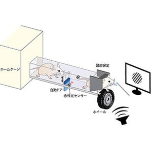 理研、複雑な認知課題を自動的に訓練するマウス用訓練装置を開発