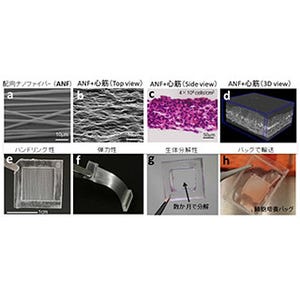 iPS細胞から3次元心筋細胞組織を構築できるナノファイバー - 京大と阪大
