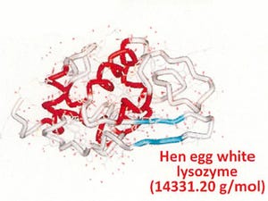 アルツハイマー病などの新治療戦略につながる可能性 - 東大、凝集時のタンパク質1分子の高精度な動態観察に成功