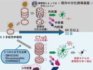 ヒトiPS細胞の分化の高効率化に成功-慶大が分化能力を促進する化合物を発見