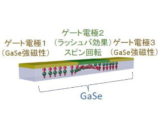 グラフェンと異なる新たなスピントロニクス材料を発見 - 東北大