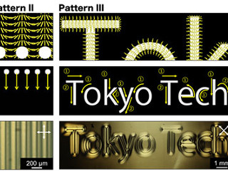 多彩な配向パターンの実現へ - 東工大、新たな光重合法の開発に成功