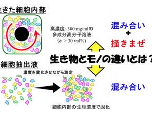 "モノ"と"生き物"の違いは「元気な動き」にあった - 九大