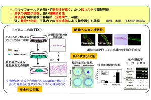 安全、低コストの軟骨再生治療法、臨床応用の最終段階に