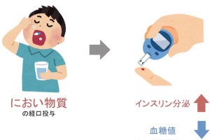 東北大、におい物質で高血糖を改善することを発見- 糖尿病の新治療薬開発へ