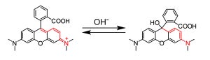 試薬をかけるとがんが光る?-多くの蛍光プローブを実用化に繋げる東大・浦野教授(前編)