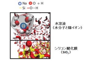 イオン選択層を用いずに血清中の陽イオン濃度を計測することに成功 - NTT