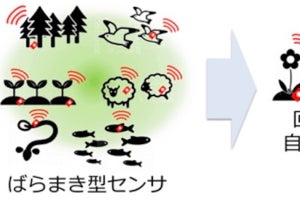 NTT、土壌・生物に無害なレアメタルフリー電池「土に還る電池」を開発