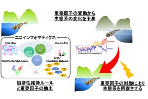 魚・水・泥のエコインフォマティクスで、自然環境という複雑系を"見える化"