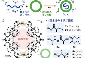 東工大、疎水性ナノ空間による親水性乳酸オリゴマーの捕捉に成功