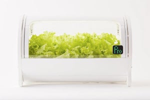 IoT水耕栽培機「foop」の教育・研究機関・企業向けカスタムモデル発売