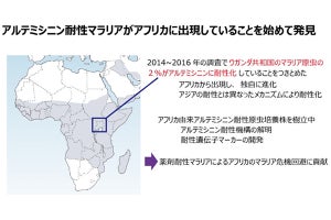 順天堂大ら、アフリカでマラリア第一治療薬の耐性原虫を発見