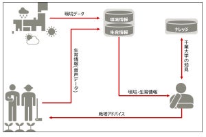 富士通×千葉大、薬用植物・機能性植物の栽培技術の実証研究