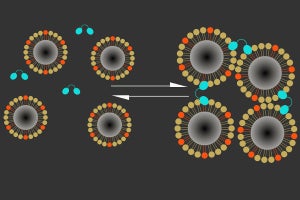 Caイオンを検知し、脳神経活動を直接観察できるMRI法を開発 - MIT