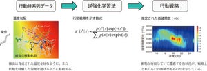 京大、機械学習により「動物の行動戦略」を解読することに成功