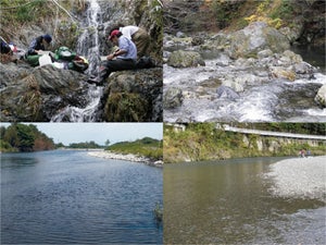 東北大、自然界の食物網構造を捉える指標を発見