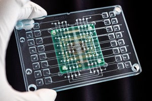 imec、製剤スクリーニング用の臓器チッププラットフォームを発表