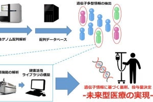 東北大、抗がん剤の副作用に影響を及ぼす薬物代謝酵素の遺伝的特性を解明