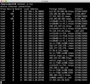 ネットワーク情報を表示するnetstatコマンドの使い方