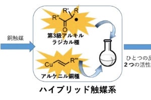 山口大ら、かさ高い脂肪鎖を鈴木-宮浦型カップリング反応への適用に成功