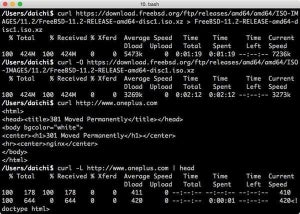 ビギナー向けcurlコマンドの使い方