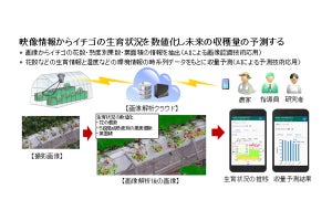 キヤノンITS、AIプラットフォーム「LaiGHT」を開発 - 農業で実証