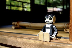 シャープ、東広島市で「RoBoHoN」活用した観光案内サービス