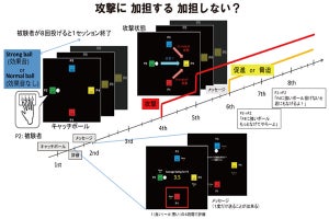 いじめに加担する人の多くは社会的不安を抱えている - 脳の反応から解明