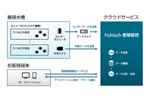 北海道神恵内村でIoTを活用したウニ・ナマコ陸上養殖の実証