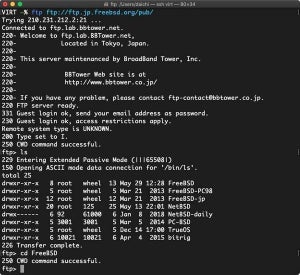 Linuxで使えるFTPクライアントコマンド5選