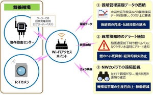 NTT東日本、福島でIoTを利用し鯉の養殖実験