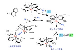 東大など、アンモニアから手軽に電気を取り出す手法を開発