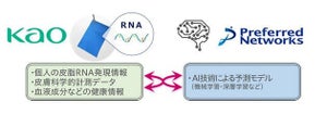 花王とPreferred Networks、"皮脂RNAモニタリング技術"をAIで実用化  - 「Kao×PFN 皮脂RNAプロジェクト」