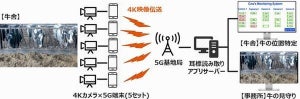 KDDIら、北海道で5Gを活用して乳牛の居場所把握と見守りの実証実験