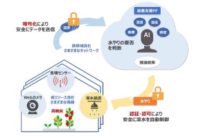 暗号技術とAIを活用した高品質野菜の栽培実験を開始