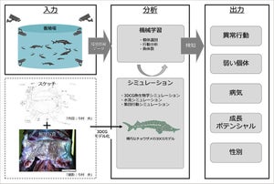 ソフトバンクと北大、IoTやAI用いた魚の養殖システム